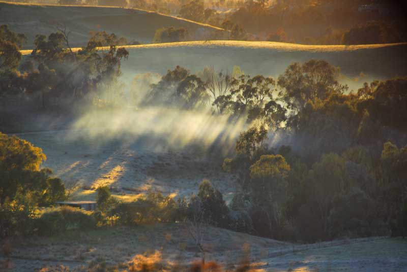 Frosty morning view