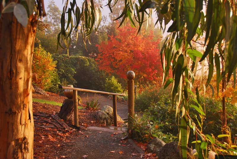 Gallery gardens