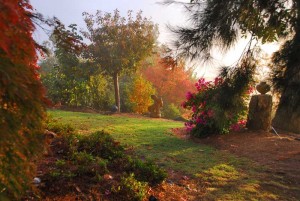 Breathtakingly beautiful gardens, adorned with sculptures and pots.